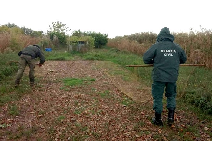Spanish police dismantling nets at a trapping site