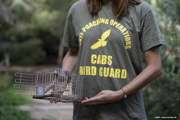 Über 2.500 Vögel wurden aus Käfigen. Fallen und Netzen im Jahr 2022 bei Komitee-Aktionen befreit. 