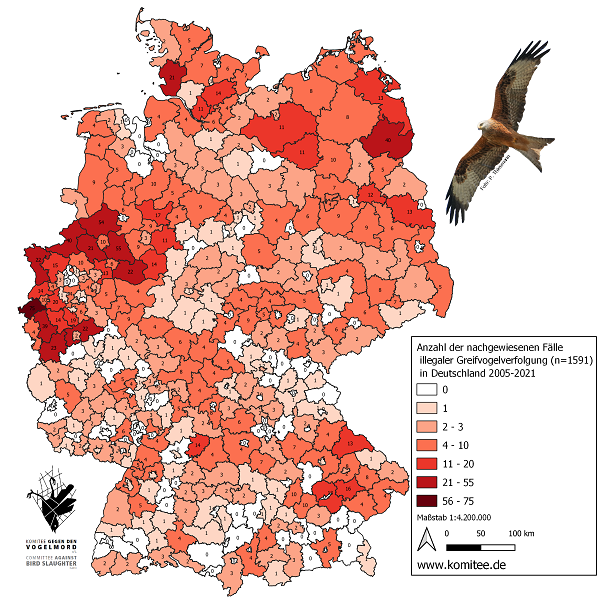 Verbreitung der illegalen Greifvogelverfolgung in Deutschland 