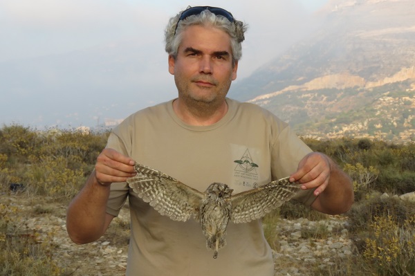Victim of illegal night hunting: scops owl