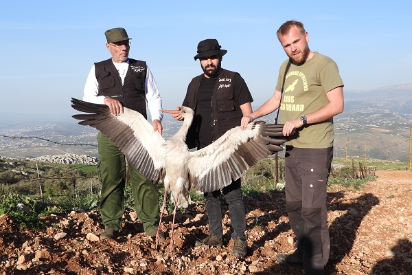 Mitarbeiter von MESHC und Komitee gegen den Vogelmord mit im Libanon geschossenem Weißstorch