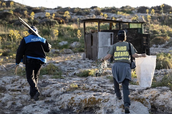 Polizei und Komitee-Bird Guard beim Abbau eines illegalen Fangnetzes auf Gozo