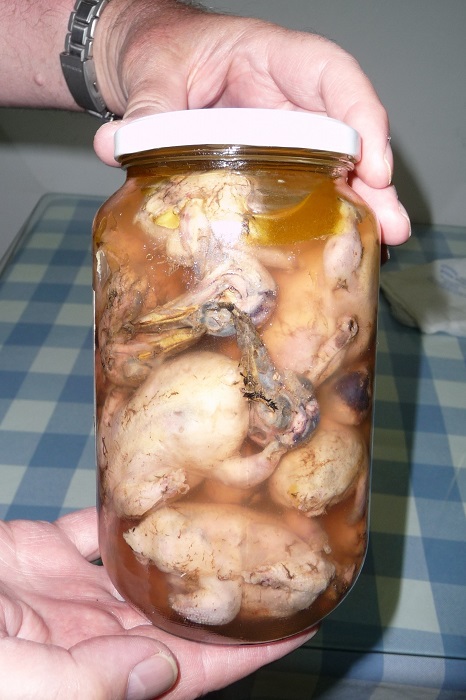 Preserved songbirds - bought in a supermarket near Larnaka