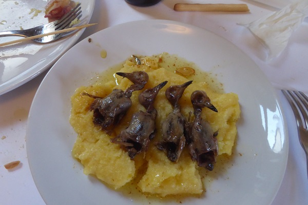 Singvögel mit Polenta - eine traditionelles Gericht der norditalienischen Küche