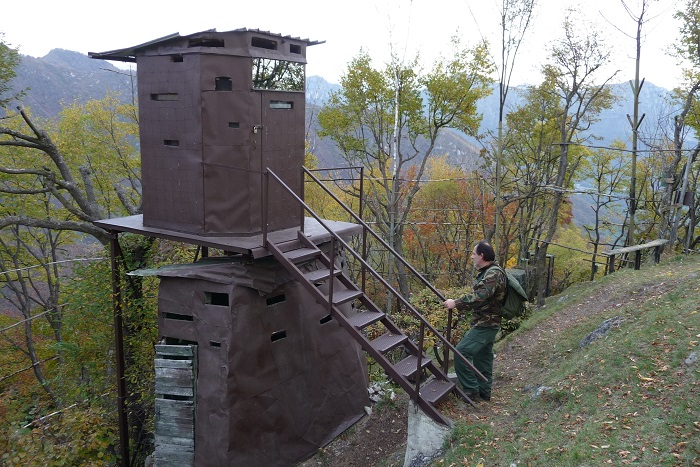 Tarnütte in Oberitalien: In einer Lichtung im Wald steht ein Schießbunker, von dem aus Zugvögel unter Beschuss genommen werden
