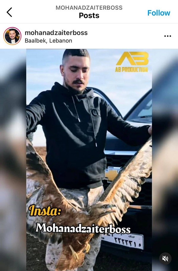 Sänger Mohanad Zaiter mit einem verletzten Adlerbussard