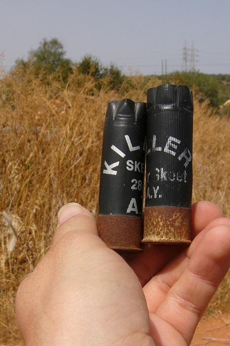 Spent shotgun cartridges