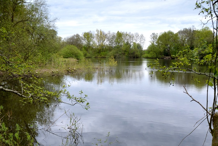 View over the big pond in Raisdorf