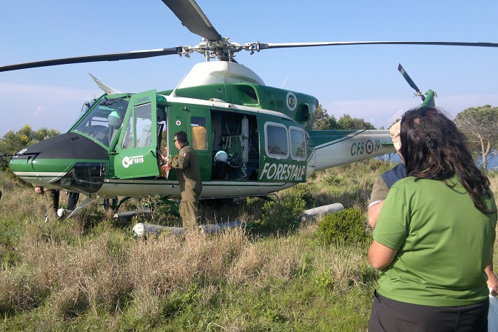 Police helicopter in action at bird protection camp on Ponza