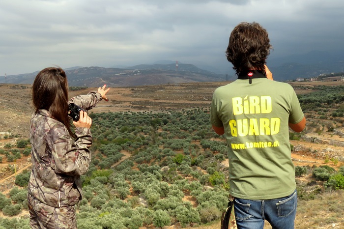 Monitoring the migration of birds on Mount Lebanon 
