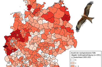 Illegale Greifvogelverfolgung in Deutschland
