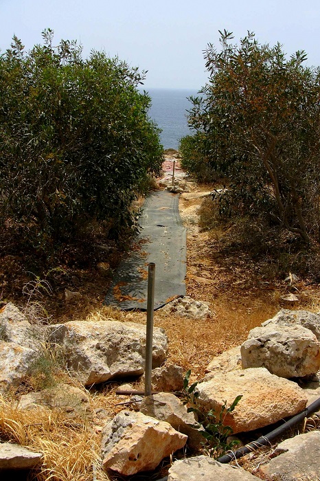 Reti in acacia a Capo Pyla