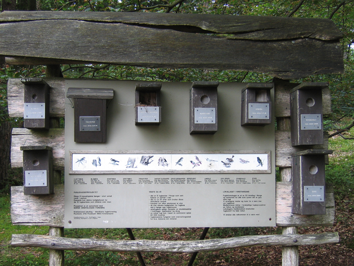 Esistono tanti tipi di cassette nido adatte a replicare le esigenze delle diverse specie di uccelli / © andreas Vartdal - Wikicomoons