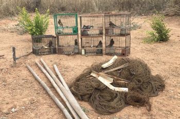 Spagna: 13 bracconieri denunciati a Valencia