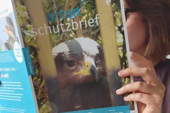 Der neue Artenschutzbrief ist erschienen