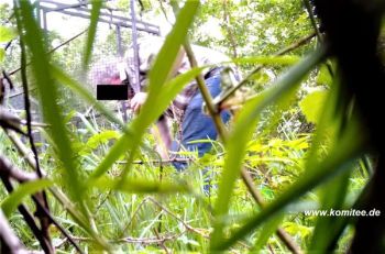 Vogelfänger mit Kamerafallen überführt