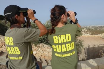 Herbst-Vogelschutzcamps im Mittelmeerraum starten