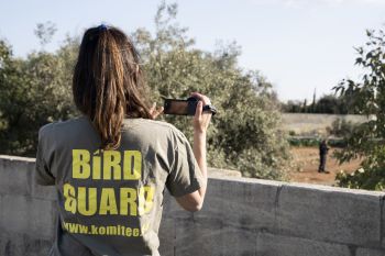 Anti-poaching against illegal finch trapping on Malta