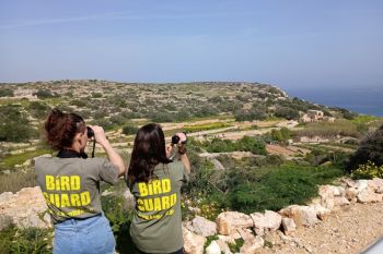 Spring bird protection camps set to begin