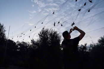 Le false accuse dei cacciatori ciprioti alimentano la violenza