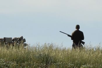 How Maltese hunters are stealing our natural heritage