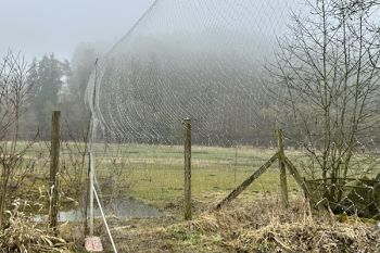 Trappole illegali nella Bassa Baviera, Germania