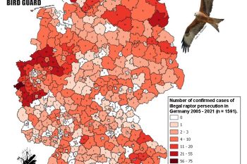 Illegal raptor persecution in Germany 