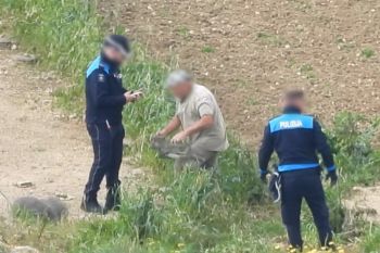 Uccellatore cattura e uccide un gheppio a Gozo, Malta