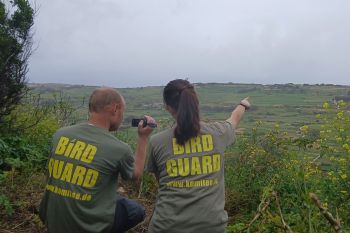 Rampant illegal trapping across Malta and Gozo