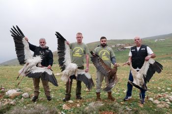 Spring anti-poaching actions in Lebanon complete