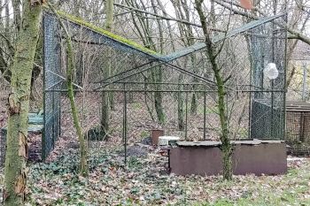 Hunters charged for illegal bird trap in Germany