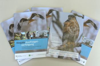 Neuer Leitfaden zur Bekämpfung von Illegaler Greifvogelverfolgung