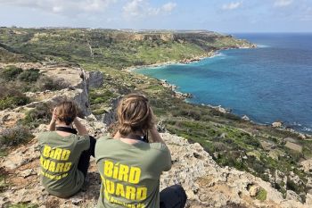 28 bracconieri denunciati - Si conclude l'operazione a Malta