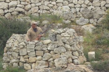 Illegal turtle dove hunting in Malta