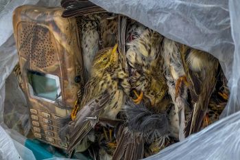 Zwischenbilanz unseres Wintercamps auf Zypern