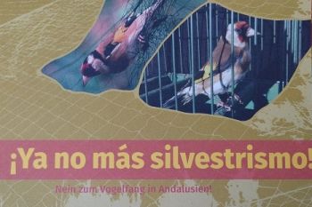 Protestaktion gegen den Vogelfang in Andalusien