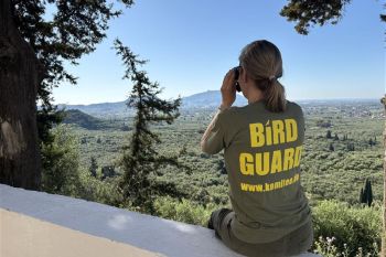 Zakynthos bird protection camp complete