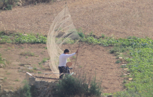 CABS-Newsletter 1/2024