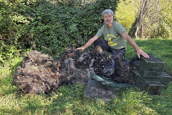 CABS-Newsletter 2/2024