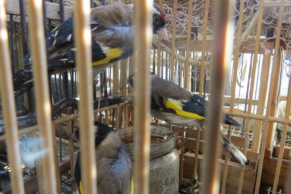 CABS-Newsletter 1/2024