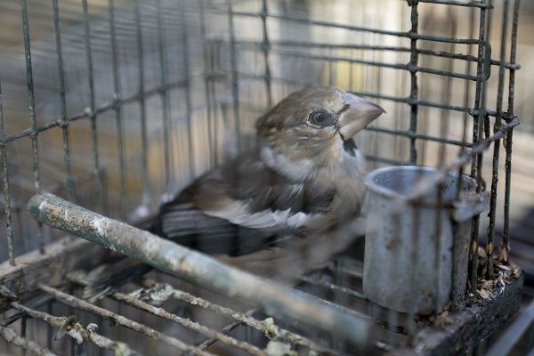 CABS-Newsletter 2/2024