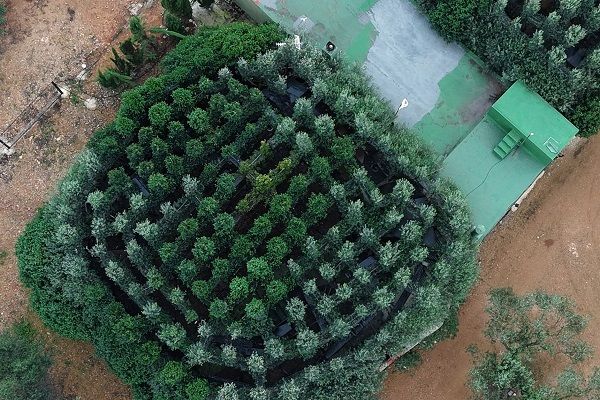 CABS-Newsletter 2/2024