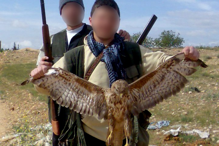 Lebanese poachers pose with shot buzzard