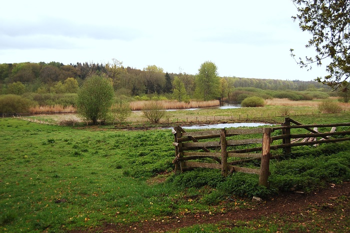 View over the Schwentinen lowlands