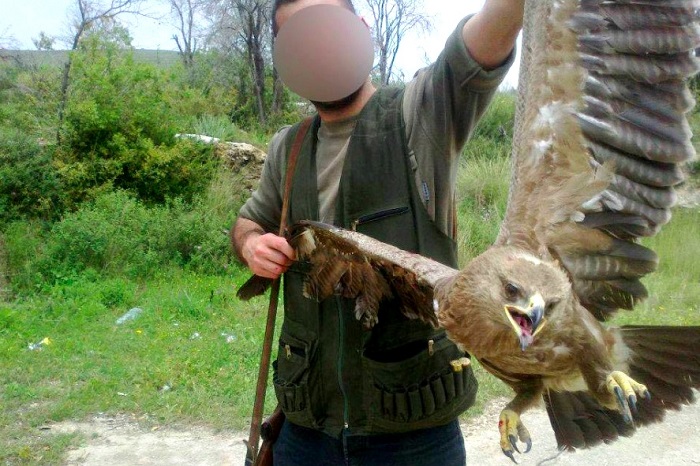 Un cacciatore posa con un'aquila anatraia minore sparata