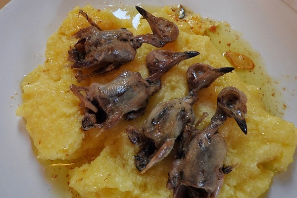 Gekochte und zubereitete Singvögel gelten in Norditalien immer noch als Delikatesse.