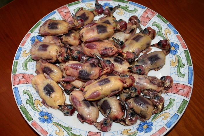 Plucked warblers, found in a restaurant near Paralimni