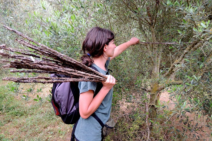 CABS member dismantling limesticks in Cyprus