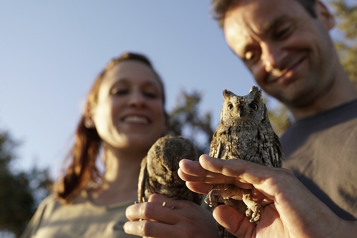 Members of CABS with Scops owls freed from nets in Cyprus