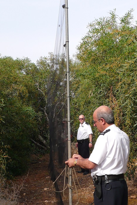 SBA police dismantle a mist net